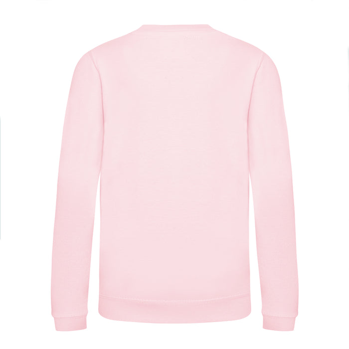 Youth Crew Neck Sweater - Baby Pink