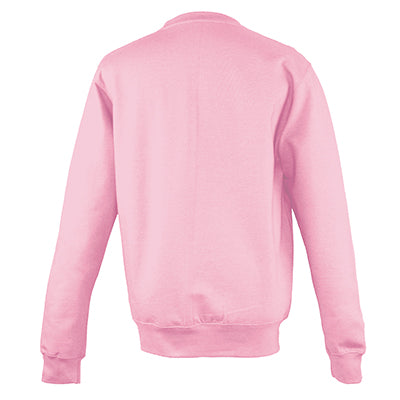 College Crew Neck Sweatshirt - Baby Pink - Equipment Zone Online Store