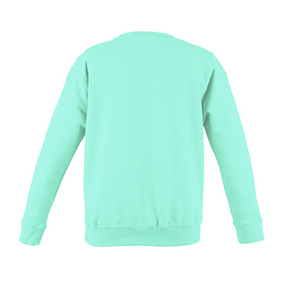 College Crew Neck Sweatshirt - Peppermint - Equipment Zone Online Store